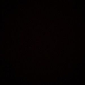 Meet your Posher, Amelia